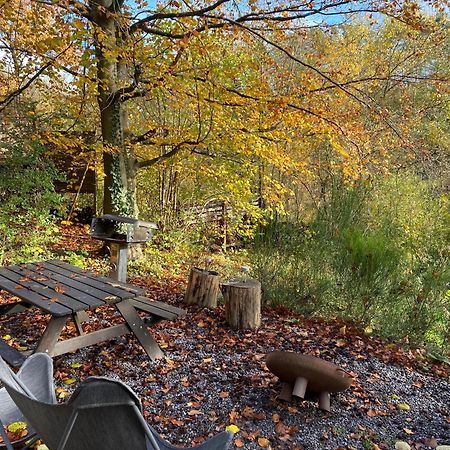 Chalet Tropical Avec Bain A Bulles - In The Woods Gesves Buitenkant foto
